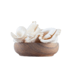 Oyster Mushroom