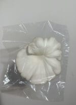 Oyster Mushroom - Image 3